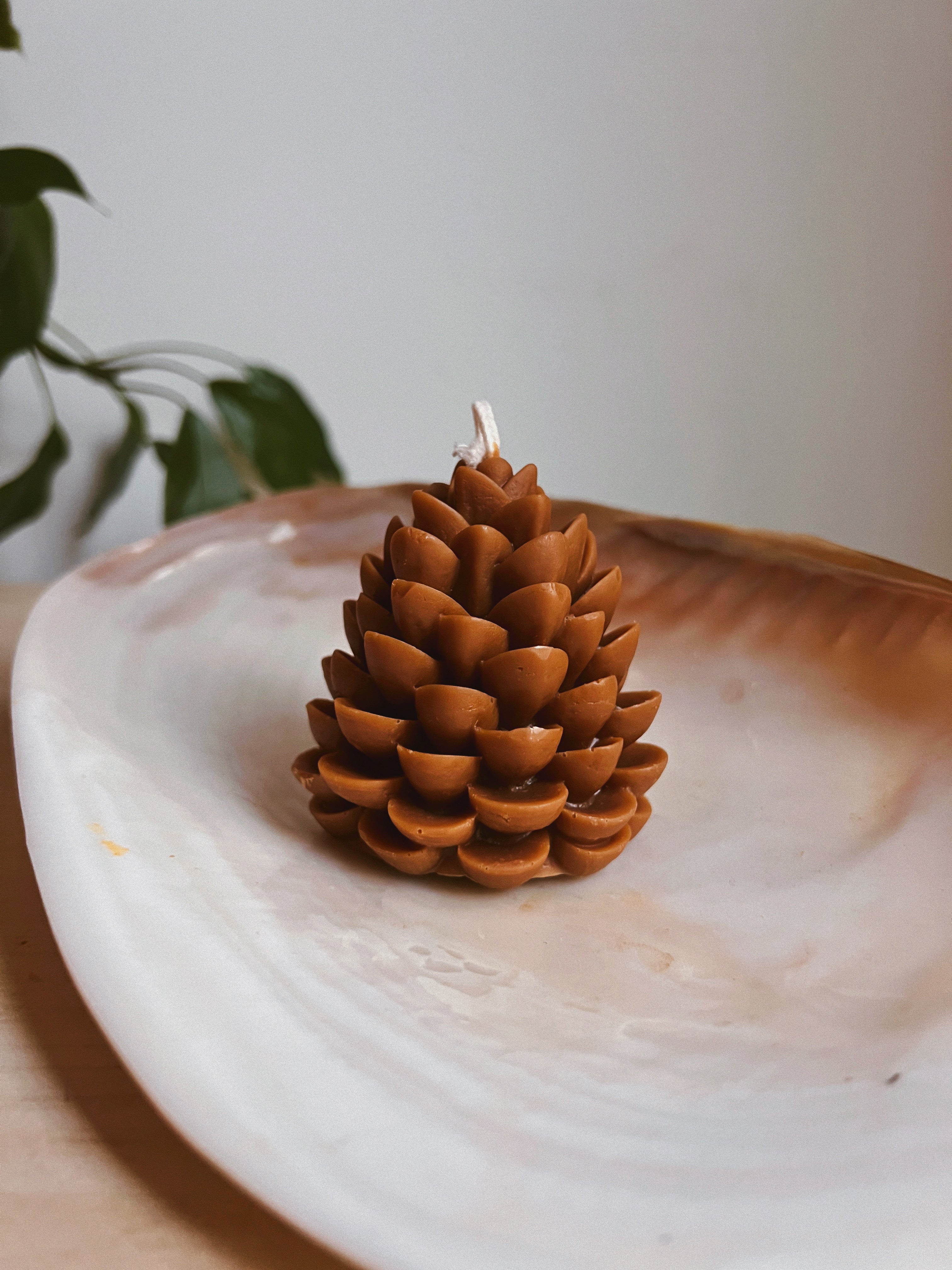 Pinecone Candle