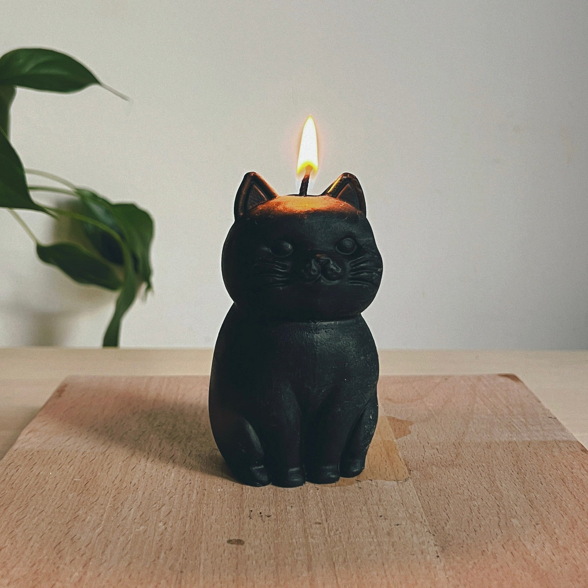 Cat Candle