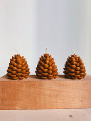Pinecone Candle